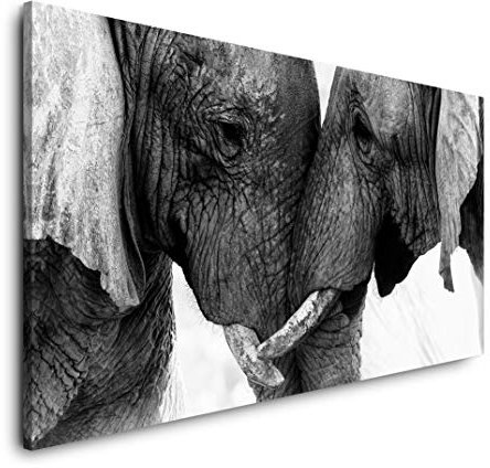 Elefanten 120x 60cm Panorama Leinwand Bild XXL Format Wandbilder Wohnzimmer Wohnung Deko Kunstdrucke