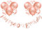 Happy 40th Birthday Banners Rose Gold Women 40th Birthday Banner Bunting Personalized Including 12 Pack 12” Latex Printed Balloons Women 40 Decorations Supplies