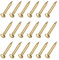 METALLIXITY Small Nails (2x15mm) 50pcs, Brass Tiny Hardware Nails - for Household Woodworking, Brass Tone