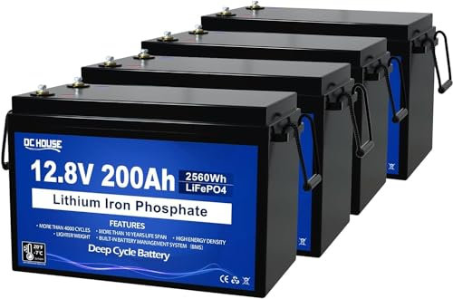 Batería LiFePO4 de 48 V 200 Ah (4 unidades, 12 V, 200 Ah, 10240 Wh, BMS integrada, batería de litio con celdas de clase A, perfecta para caravanas, motores de trolling y sistemas solares)