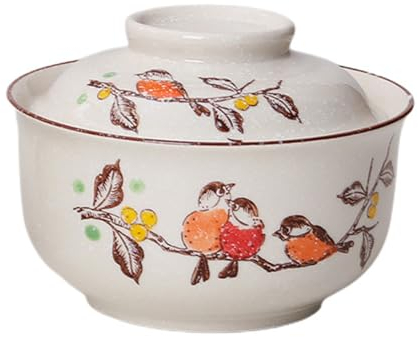 Ramen Schüssel,Keramik Ramen Bowl Set mit Deckel,800ml Suppenschalen, Pho,Japanische Vintage Ramen Schale aus Keramik Für Getreide, Suppe, Asiatisch Geschirr Mikrowelle Und Geschirrspüler