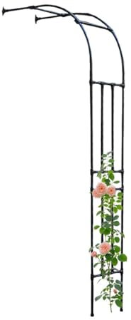 Blanche Demi-arche de jardin contre le mur, Arceau à rosiers Demi-côté en métal, H 240 cm, petit treillis, tonnelle robuste pour grimpants décoration garage terrasse, Montage Mural(Noir,H240 x L 220cm