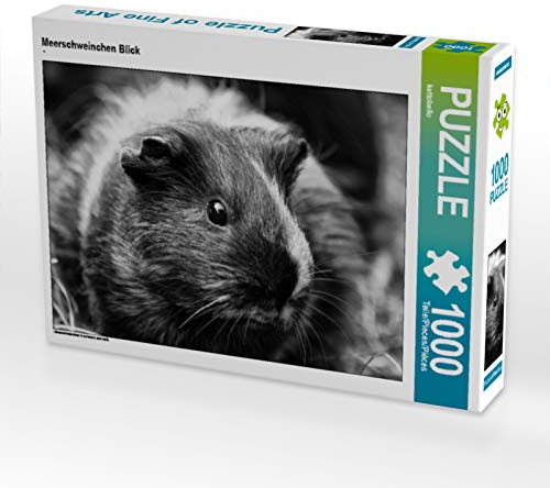 CALVENDO Puzzle Meerschweinchen Blick 1000 Teile Puzzle quer | 1000 Teile Lege-Größe 64 x 48 cm Foto-Puzzle für glückliche Stunden