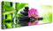 Visario 120 x 40 cm Bild auf Leinwand Spa grün 5721-SCT deutsche Marke und Lager - Die Bilder/das Wandbild/der Kunstdruck ist fertig gerahmt