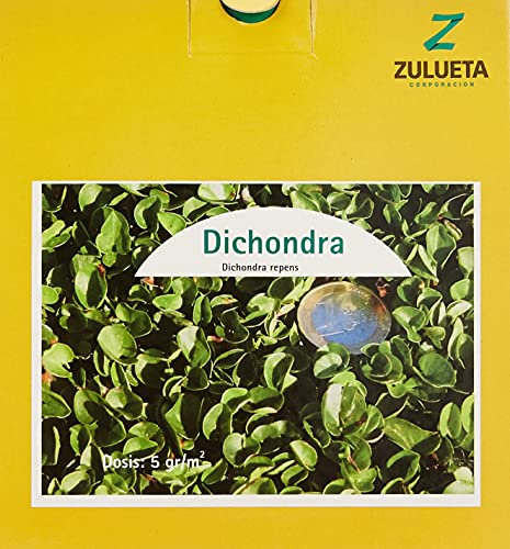 Zulueta - DICHONDRA REPENS Tapicería ornamental, 250 gr