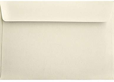 Netuno 25 Briefumschläge Ecru gerippt DIN C5 16,2 x 22,9 cm 120g Aster Laid Ivory elegante Briefhüllen groß strukturiert a5 Briefkuverts mit Struktur für Einladungskarten Geburtstagskarten