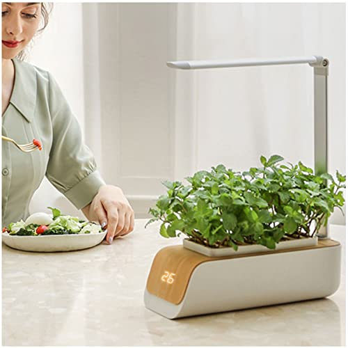 VVLXRIC Hydroponie, Lampe pour Plante Interieur Design Simple Et éLéGant, ContrôLe Intelligent des Puces, Mini Serre De Jardin, Convient pour La Maison, La Cuisine, Le Jardinage