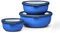 Mepal - Ensemble de 3 Bols Multifonctions Cirqula Rond - Boîtes Conservation Alimentaire avec Couvercle - Convient pour le Réfrigérateur, Micro-ondes & Congélateur - 350, 750, 1250 ml - Vivid blue