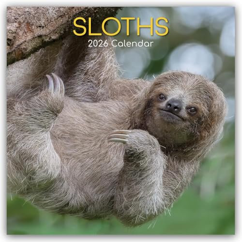 Sloths – Faultiere 2026 – 16-Monatskalender: Original Gifted Stationery-Kalender [Mehrsprachig] [Kalender] (Wall-Kalender)