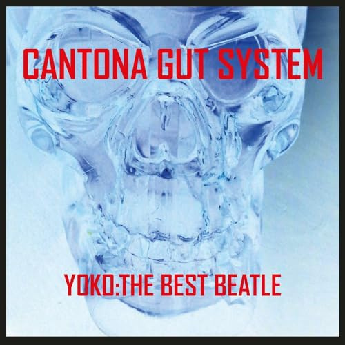YOKO:THE BEST BEATLE