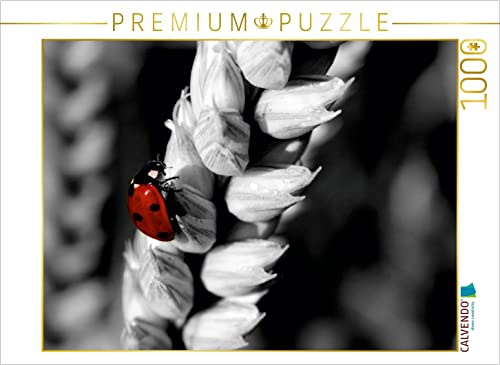 CALVENDO Puzzle Marienkäfer im Weizenfeld, ColorKey | 1000 Teile Lege-Größe 64 x 48 cm Foto-Puzzle für glückliche Stunden