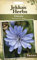 Johnsons - Jekka's Herbs - Pictorial Pack - Chicory - 140 Seeds