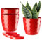 ORTEN Lot de 3 Pots de Fleurs d'intérieur en Plastique pour Toutes Les Plantes d'intérieur, Herbes, Cactus, orchidées, Plantes Grasses (Ø 12cm, Rouge)