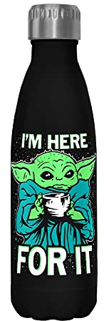 Star Wars 17 oz Stainless Steel Water Bottle, 17 Ounce, Multicolored