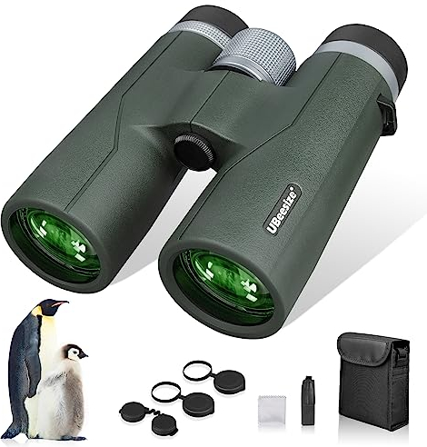 UBeesize Fernglas 10x42 HD Ferngläser Wasserdicht 19mm HD Augenmuschel, BAK4+FMC Fernglas Erwachsene für Vogelbeobachtung, Wandern, Jagd, Sightseeing Grün
