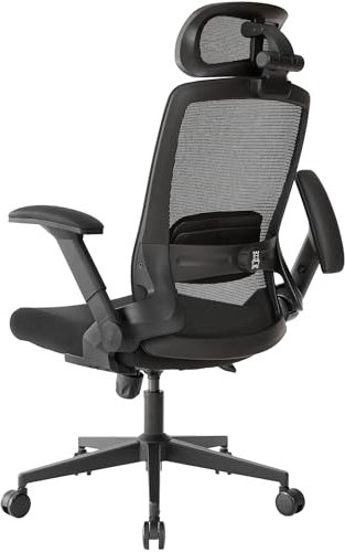 Realm of Thrones VALOUR Ergonomic Office Chair for Home, Gaming Desk Chair, 3D Headrest/High Back Mesh/Comfort Cushion Seat/2D Rotating Armrests/Adjustable Lumbar Support/Heavy Duty Steel Base (Black)