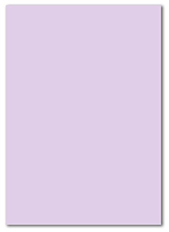 150x A4 Carton-carte - couleur: lilas (violet) - 210 x 297 mm - 240 g/m² - Papier tonique Carton photo Papier de bricolage Carton d'argile - FarbenFroh by GUSTAV NEUSER
