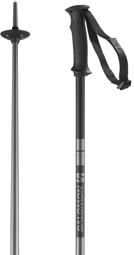 Salomon Stöcke Arctic Unisex Skitouren 120cm