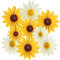 SUNBEAUTY Sunflower Yellow Paper Fans - 9pcs Party Home Decorations Sunflower Themed Perfect Hanging Fans for Baby Showers Birthdays and Summer Events
