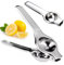 PARENCE.- Exprimidor manual de metal – Exprimidor de limón sólido plateado para limones y cítricos – Fácil de usar y limpiar – Cocción cómoda – Zumos caseros frescos