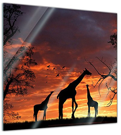 Bilderdepot24 Glasbild - Giraffen im Sonnenuntergang - 30x30 cm - Deko Glas - Wandbild aus Glas - Bild auf Glas - Moderne Glasbilder - Glasfoto - Echtglas - kein Acryl - Handmade