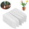 500 Pezzi Etichette per Piante, Etichetta Giardino Esterna, Etichette Targhette per Piante, Targhette per Piante, Cartellini per Piante, per Vivai, Semi, Piante ed Erbe Aromatiche, 10 x 2 cm
