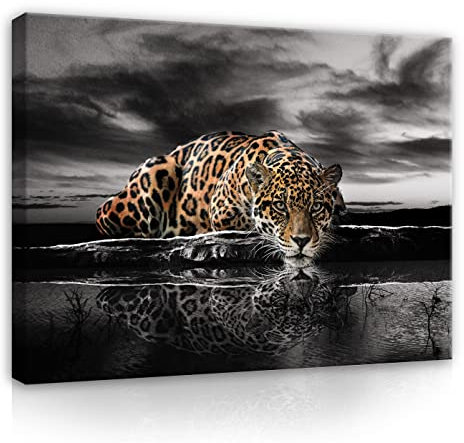 WallArena - Leinwand Bilder - Tiger Tiere Safari Afrika Natur - 120x80 cm Leinwandbilder - Bild auf leinwand - Wandbild XXL groß Wandbilder für Wohnzimmer Schlafzimmer Wohnzimmerbilder Modern