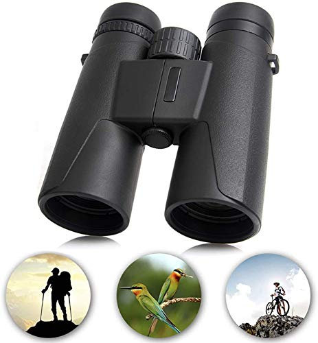 Hochleistungs-Fernglas-Teleskop 10x42HD Shimmer für Vogelbeobachtung, Sport, Camping, Touren, Konzerte, Jagd, kein Infrarot-Okular