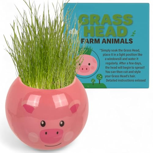 MIJOMA Graskopf Pflanzset – Tierfiguren mit Erde & Grassamen, 6,5 cm Kunststofftopf zum Basteln & Bepflanzen, DIY-Deko für Kinder & Erwachsene (Schwein – Farmtiere)