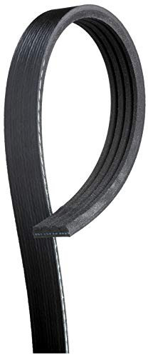 Gates K040488 Serpentine Belt/Fan Belt