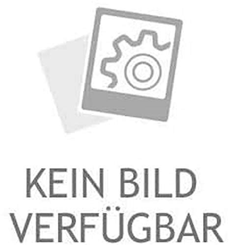 NÜRAL 87-122200-00 Kolben