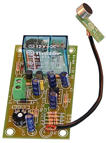 Vox Steuermodul mit Mikrofon, Freizeit & Weihnachten