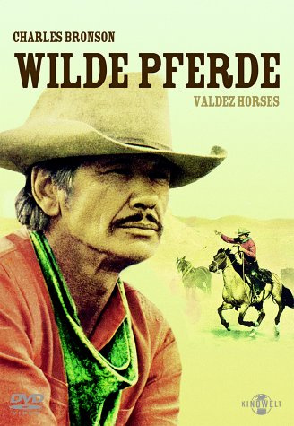 Wilde Pferde - Valdez Horses