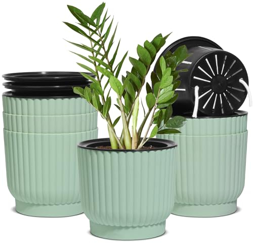 T4U Macetas de riego automático de 6 Pulgadas, Paquete de 6 macetas de plástico con Soporte, macetas de alféizar de Ventana para Todas Las Plantas de Interior y Exterior, violetas africanas (Verde)