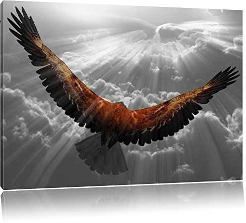 Pixxprint anmutiger Adler über den Wolken B&W, Größe: 120x80cm, Leinwandbild, fertig gespannt, Wandbild, Dekoration, Kunstdruck, kein Poster