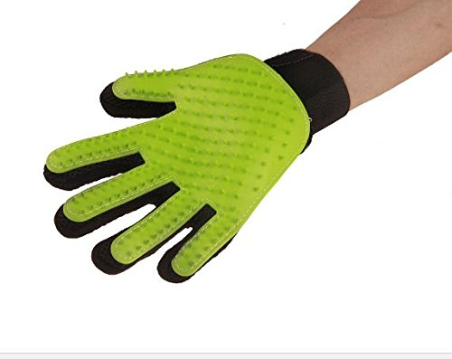 Gant Magic Brosse de nettoyage pour animaux de compagnie (Green, Right Hand)