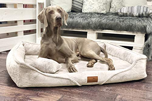 tierlando® Orthopädisches Hundebett Tyson Teddy – kuscheliges Hundesofa mit waschbarem Bezug, herausnehmbarer Viscoschaum-Matratze und ergonomischem Einstieg Größe: 130x100cm | Farbe: 05 Creme