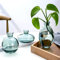 Hniuyun Lot de 3 vases en Verre, Petits vases à bourgeons de Fleurs, Vase hydroponique Transparent, Minimaliste, esthétique, décoration d'intérieur (Vert)