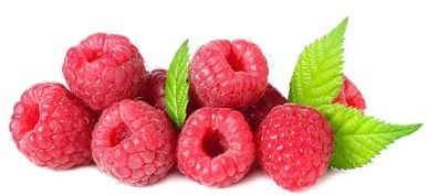 450 pcs obst samen himbeeren, säulenobst winterfeste pflanzen für balkon Himbeer,Rubus idaeus,Seltene Pflanzen serie, deko wohnzimmer modern obstbaum pflanztöpfe obstsamen bio saatgut
