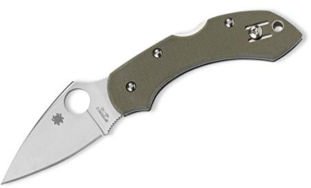 Spyderco C28GPFG Unisex – Erwachsene Taschenmesser Dragonfly Foliage Green G-10 Plainedge, grün, 14.1