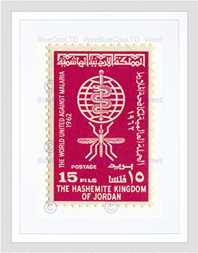 The Art Stop STAMP JORDAN 15 FILS MOSQUITO MALARIA WORLD UNITED PINK FRAMED PRINT B12X12291