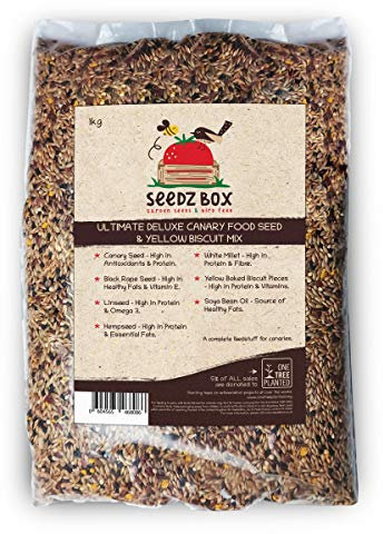 Seedzbox Mélange de Noix et Graines Oiseaux Haut de Gamme, 1 kg de Nourriture pour Oiseaux, Idéal pour Canaris de, 5% des Ventes Reversés à 1TreePlanted, Aliment Complet pour Canaris