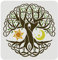FINGERINSPIRE Modelli di stencil celtici albero della vita 30 x 30 cm riutilizzabili Mylar fai da te arte artigianale pittura template irlandese gallese nodi stencil per progetti artistici parete