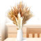 130 Stück Set Pampasgras Getrocknet, Natürliche Trockenblumen Pampasgras Deko, Boho Deko Wohnzimmer Schlafzimmer Badezimmer Küche Zimmer Tischdeko, für Blumen Arrangements Heim Decor