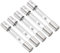 QUARKZMAN Fusible de Microondas 0.7A 5Kv x 5Pcs Tubo de Vidrio de Fusible Protección Universal Reemplazo para Horno de Microondas, [Tono Plateado]