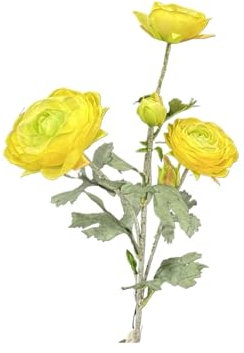Fasksh Künstliche Ranunkeln mit echtem Stiel, 68 cm, Seidenranunkel, 10 Köpfe (2 Stück) (Farbe: Gelb)