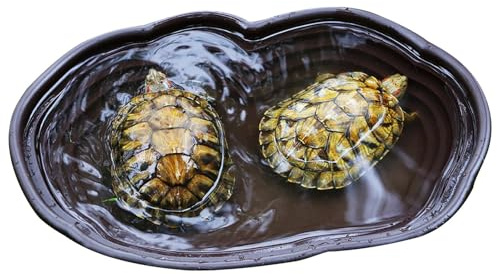Huayeex Piscina per Rettili, Vasca da Bagno Rettile, Vasca da Bagno per Tartarughe, Ciotola per Acqua, Abbeveratoio Tartarughe di Terr a, Piscina per Tartarughe, 39x27x5cm
