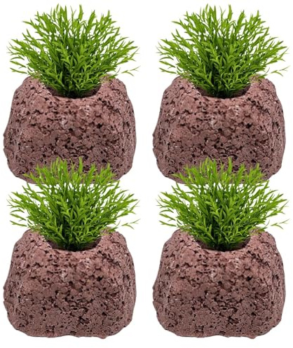 Stibtmr Macetas para Plantas De Acuario - 4 Piezas Porosas | Portaplantas, Decoraciones De Acuario,para Agua Dulce Y Agua Salada Piscina Estanque Cultivo Acuático Y Decoración De Paisaje