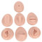 Sonew Kit de Pratique de Piercing Corporel, Modèle de Langue et de Nombril en Silicone pour la Pratique du Piercing (Couleur de peau moyenne)
