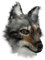 perfeclan Halloween Maske Cosplay Requisiten Lustige Wolf Maske für Geburtstag Maskerade Party Requisiten